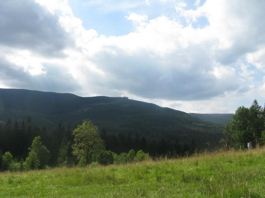 Widoczki