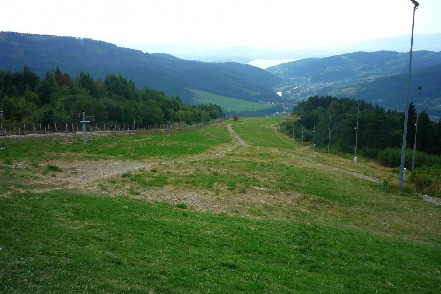 Widoczek
