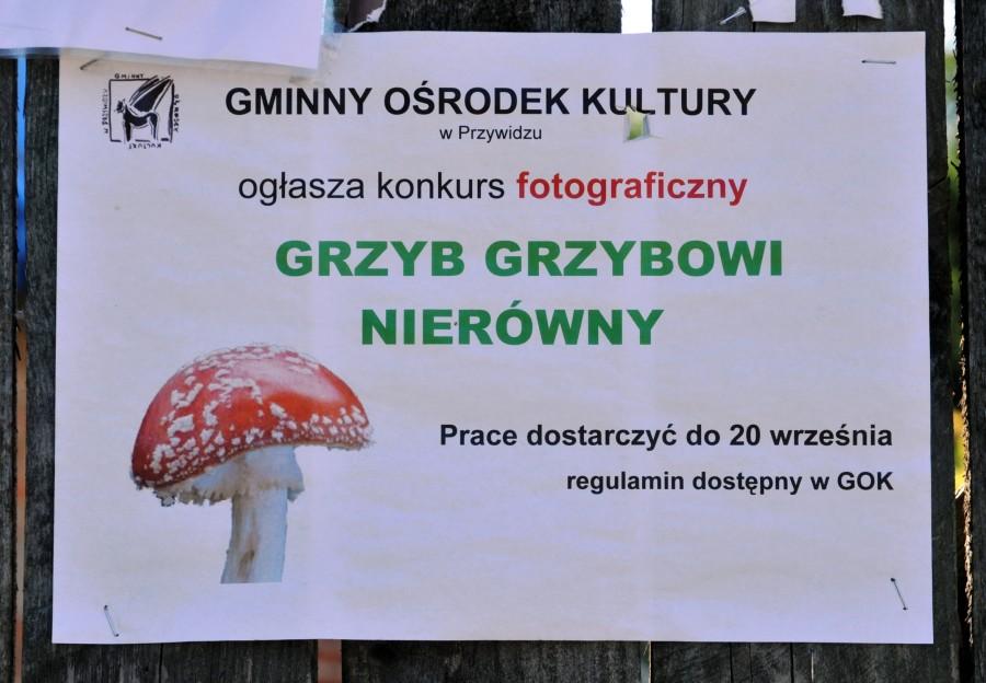 Ogłoszenie w Miłowie
