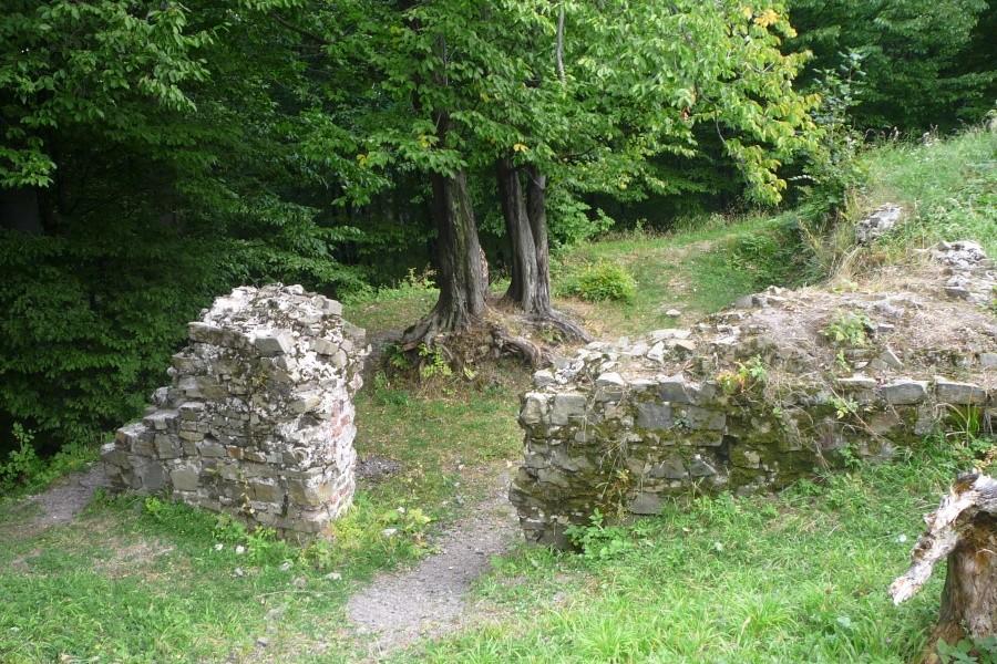Ruiny zamku Wołek