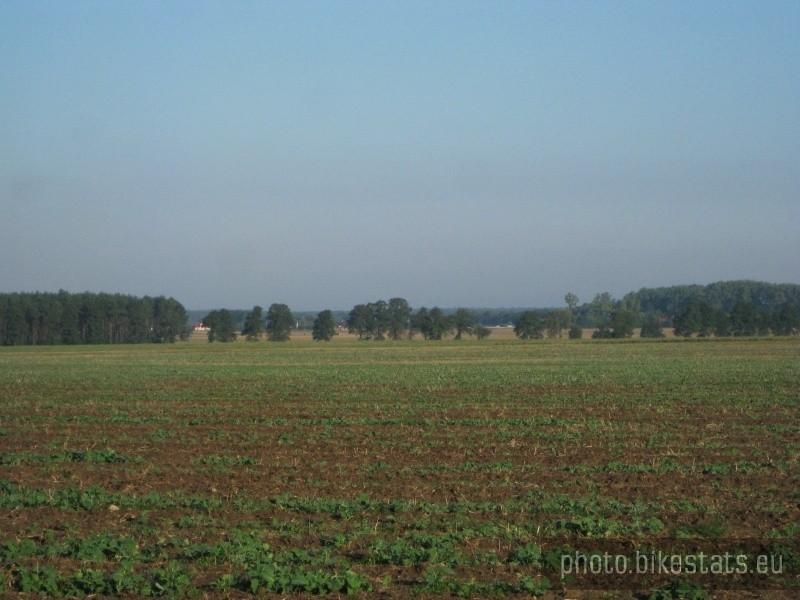 Widok z oddali na wieś Bednary.
