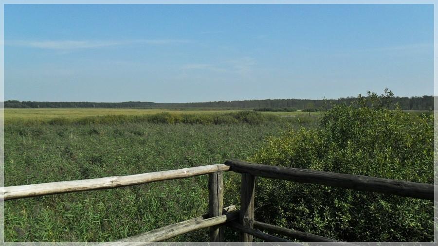 Widok z ambony