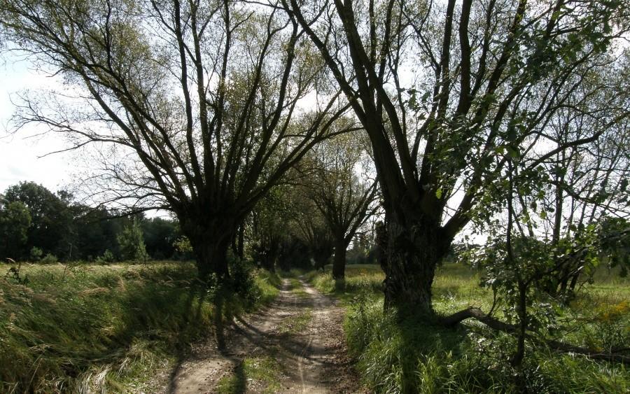 Fragment Szlaku Nadwarciańskiego. Czuć jesień :)
