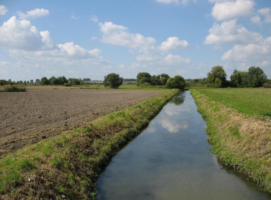 Rów Jeziorka Grabowskiego