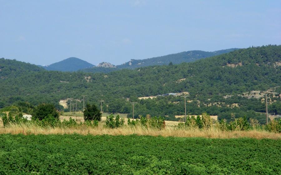 Góreczki przy drodze