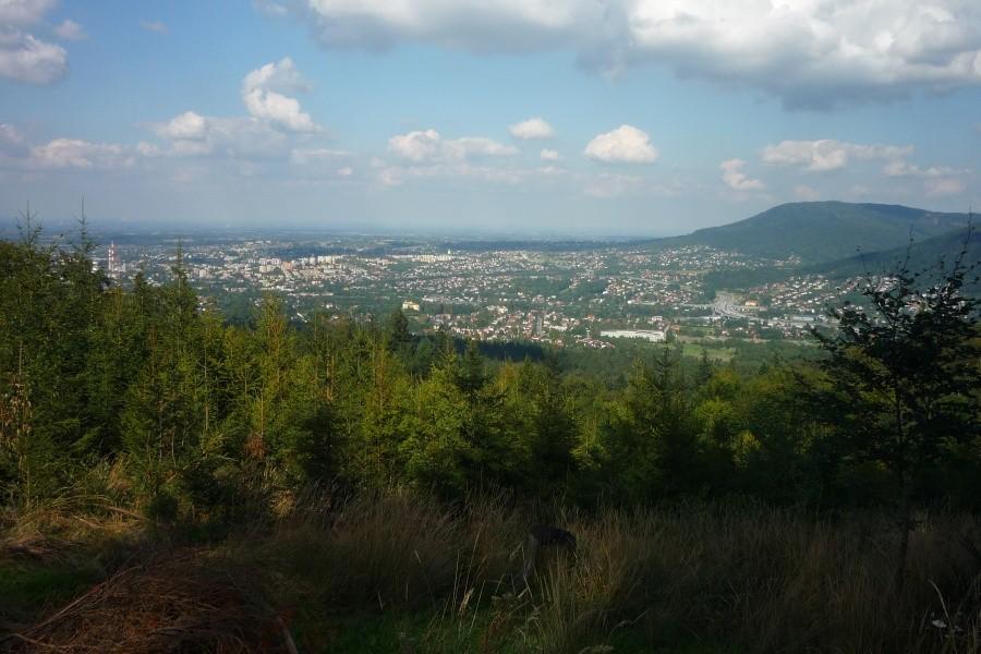 Panorama Bielska z Koziej Górki