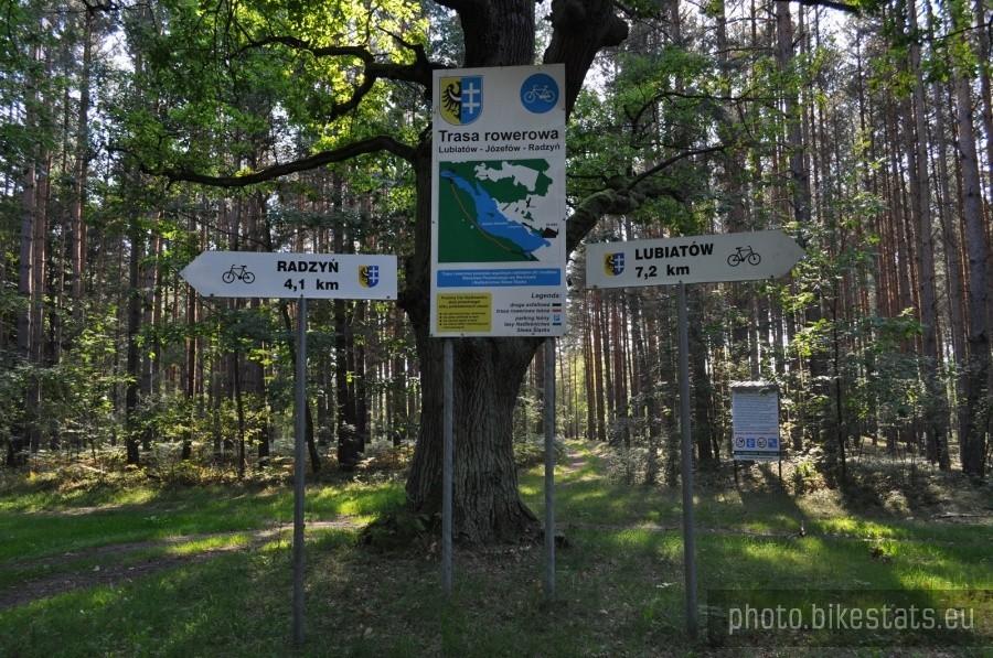 Węzeł szlaków na trasie wokół Jeziora Sławskiego