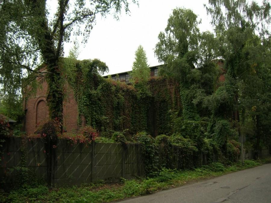 zarośnięty budynek