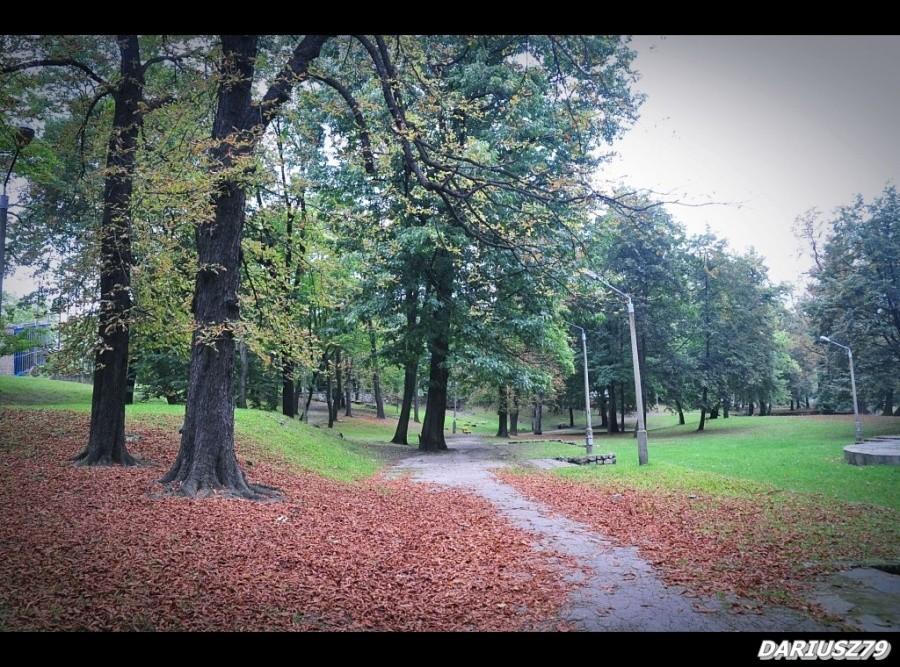 Sosnowiec Pogoń - Park żeromskiego