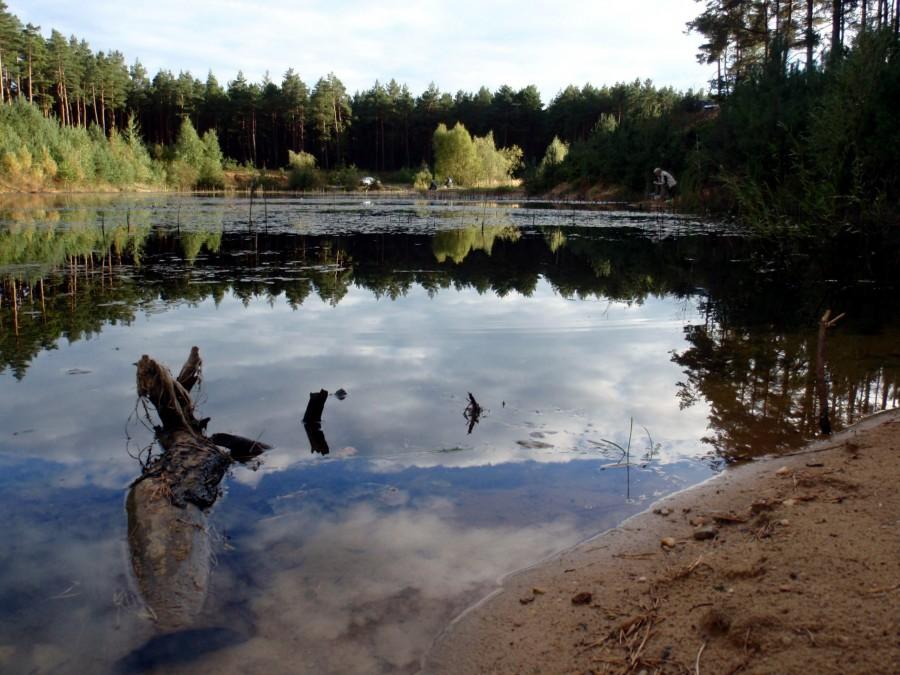 Nad zalewem w starej piaskowni