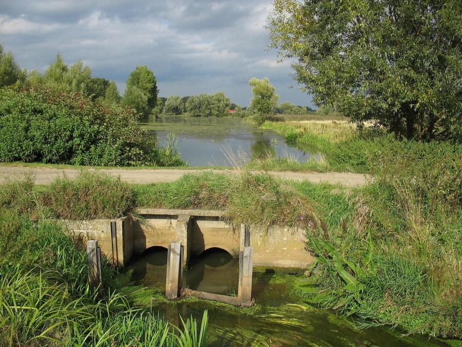 Jezioro Powsinkowskie