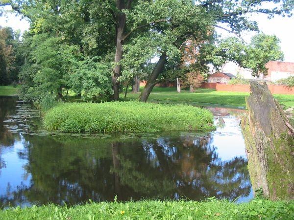 park pałacowy w Ujeździe