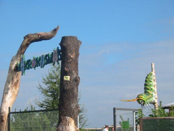 Brama Mikrokosmosu (owady i inne w powiększeniu)