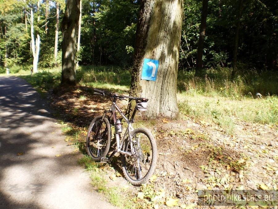 Kociołkowa Górka - pozostałości po maratonie