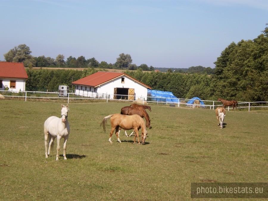 Stadnina w Starej Górce