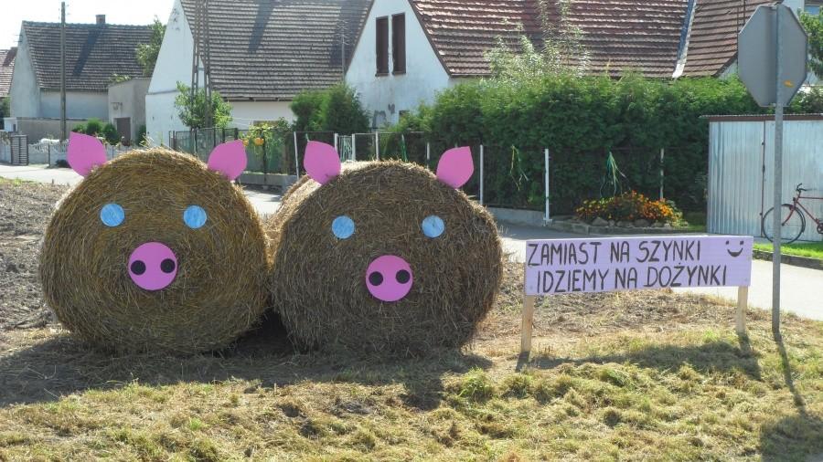 Świńki dożynkowe