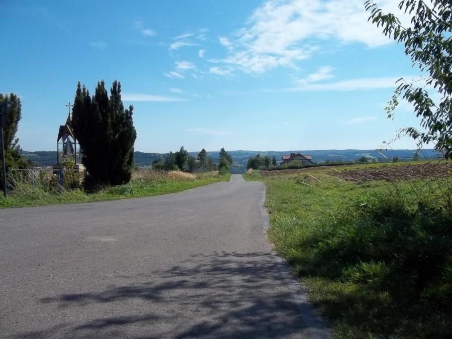 widok ze szczytu