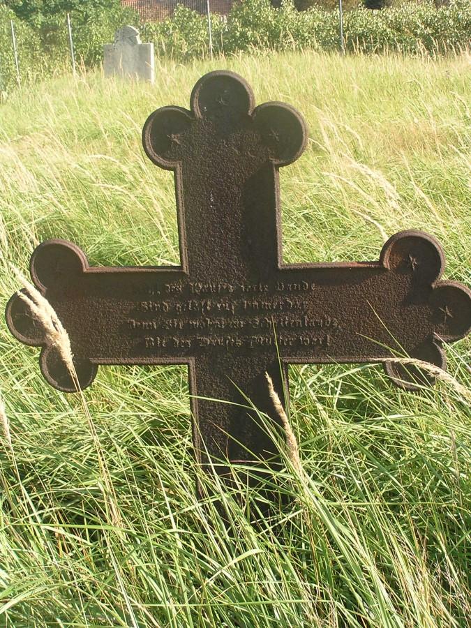Cmentarz mennonicko- ewangelicki w Przyłubiu [1]