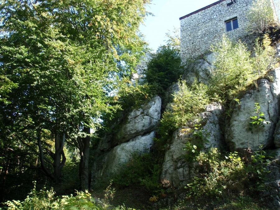 Zamek Bąkowiec