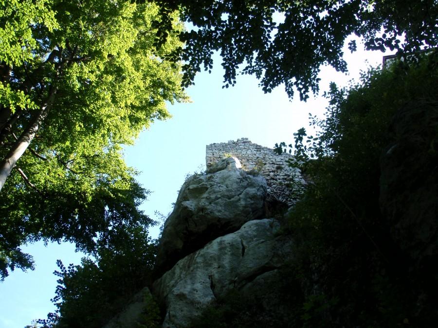 Białe skały, biały mur, zielone liście