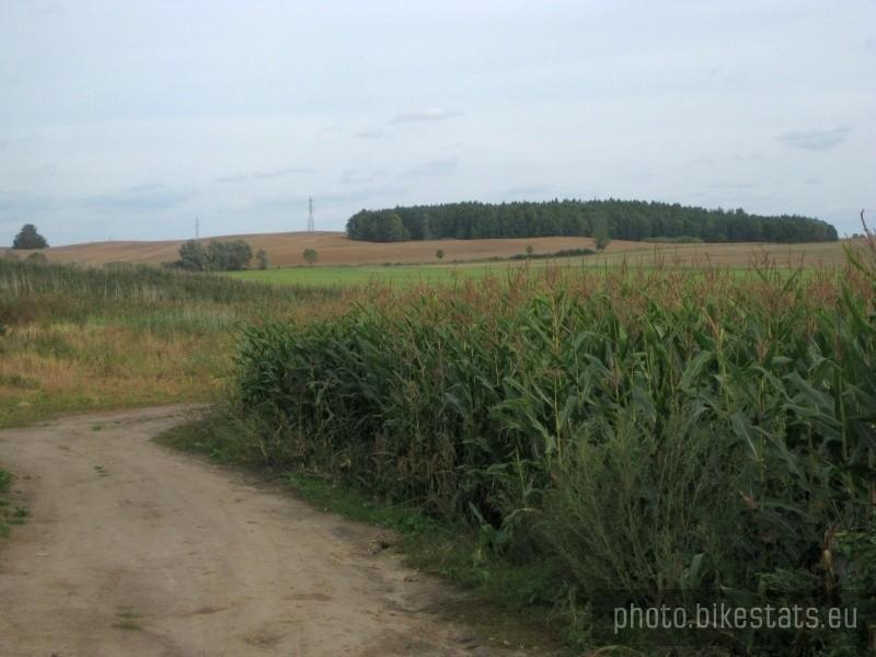 Widok na pola nieopodal wsi Kowalskie.