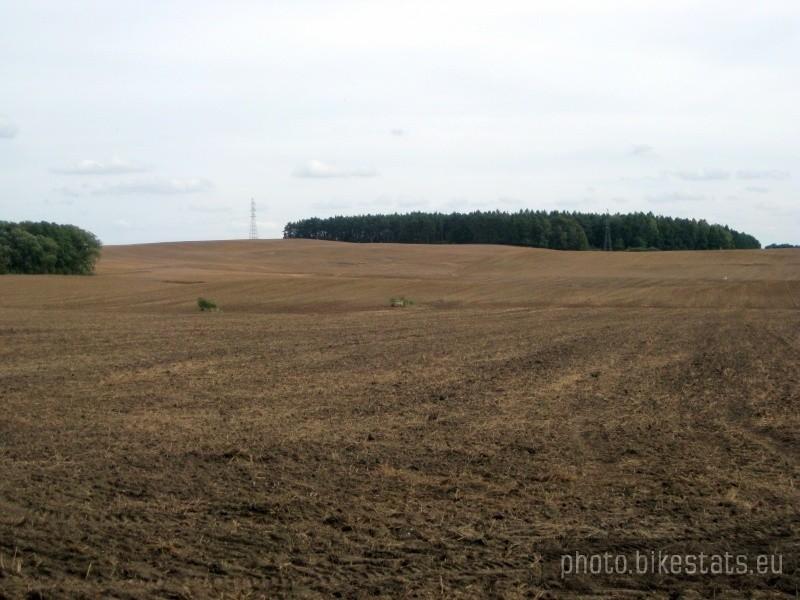Zaorana hektary świecą pustkami.