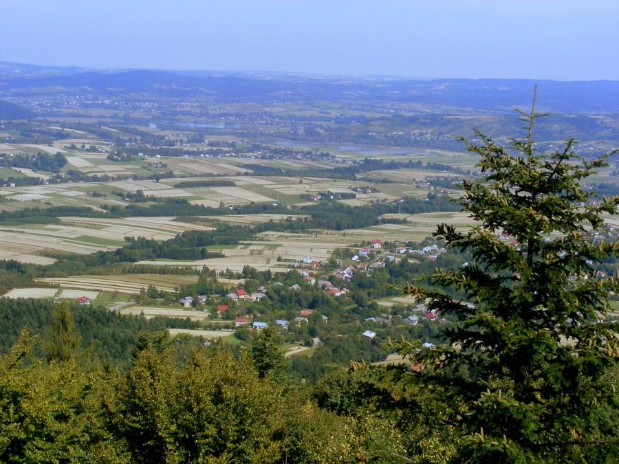 Widoczek z góry