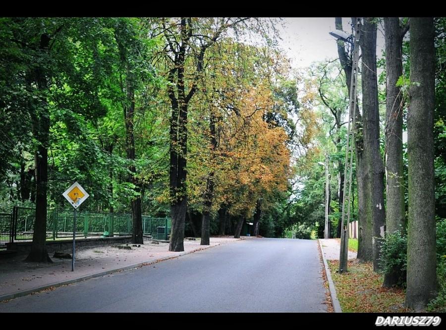 Sosnowiec - Ostrowy Górnicze