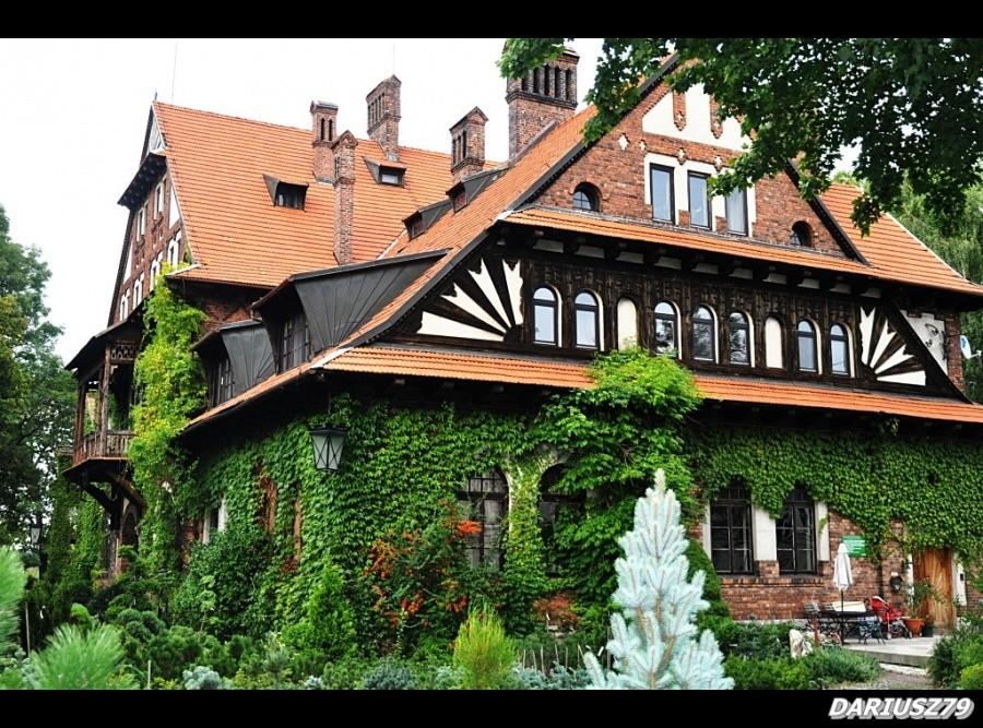 Sosnowiec - Ostrowy Górnicze