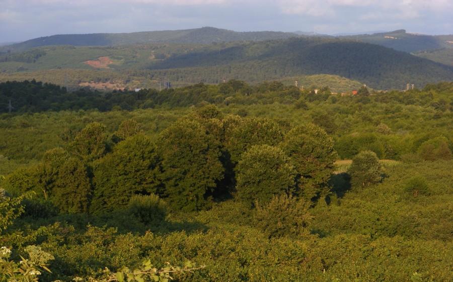 Po takich góreczkach przyjemnie się jeździ