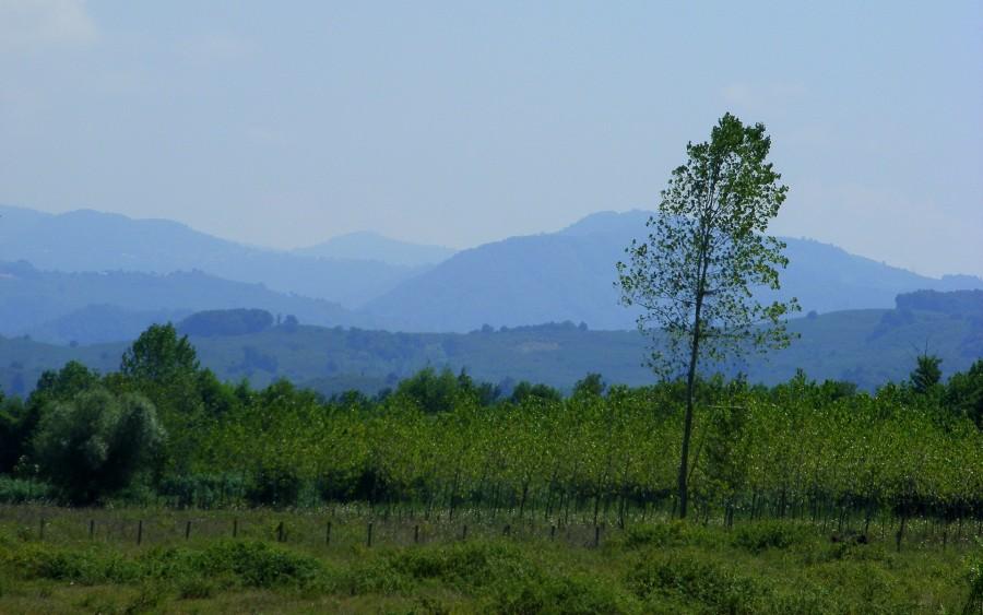 Górki nad morzem