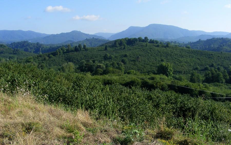 Tureckie górki