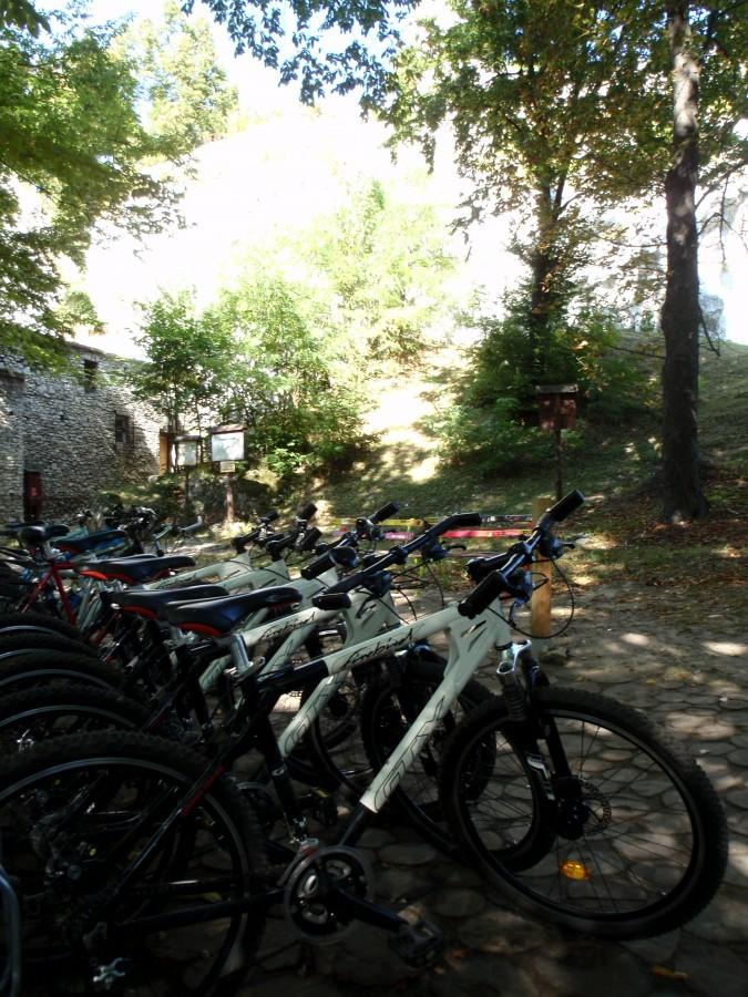 Wypożyczalnia rowerów pod zamkiem w Morsku