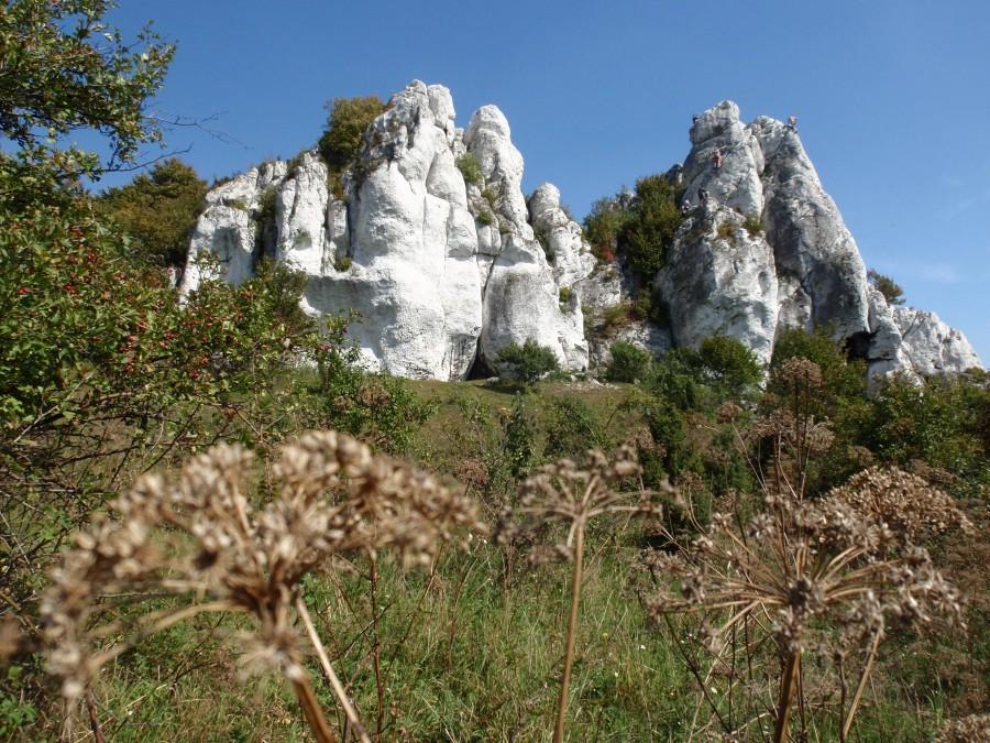 Skały Rzędkowickie