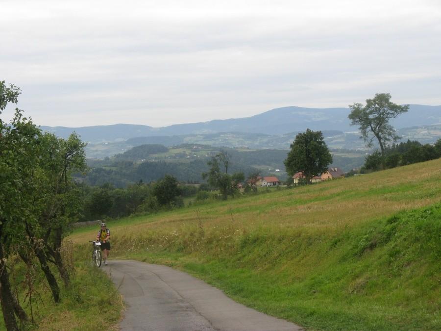 Czasami trzeba prowadzić