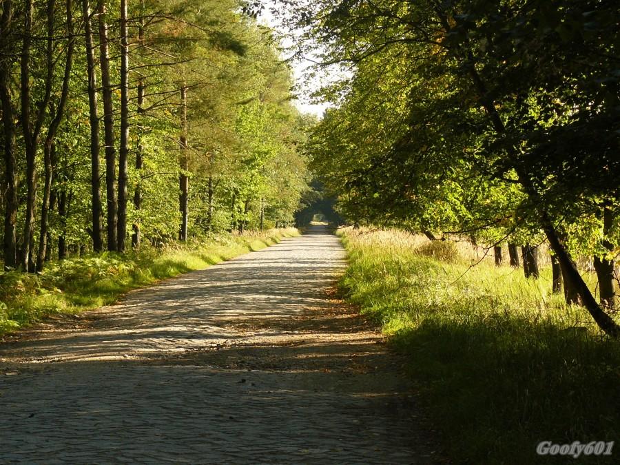 Stara droga wdłuż torów - Miasteczko Śląskie.
