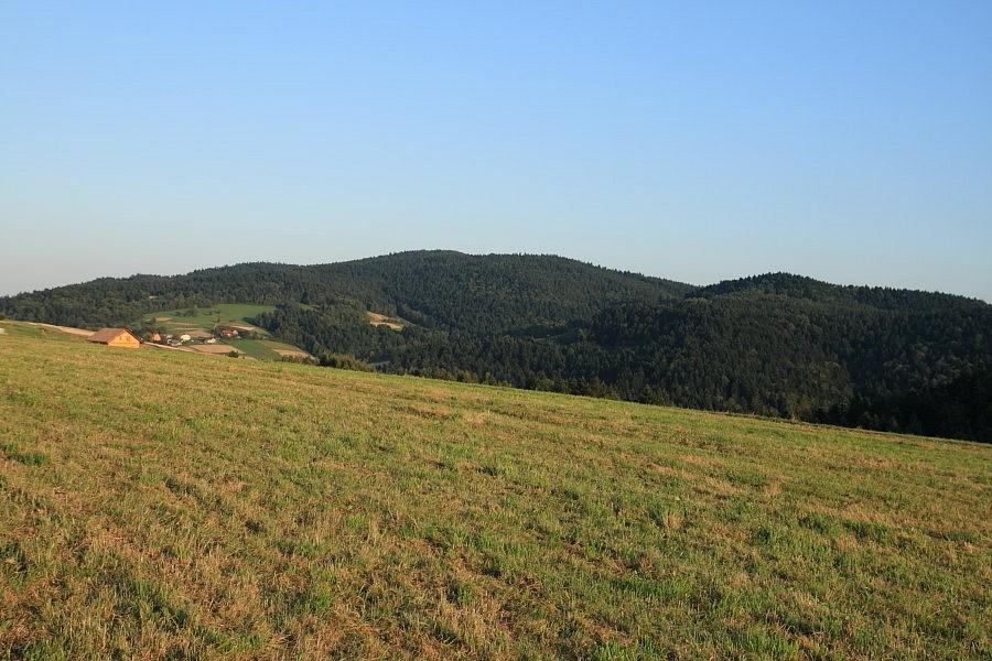 Jaworze Postawne