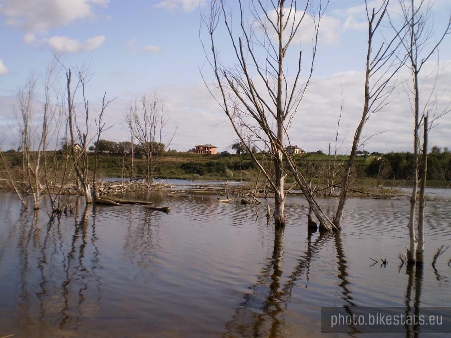 Pradolina Rzeki Cybiny