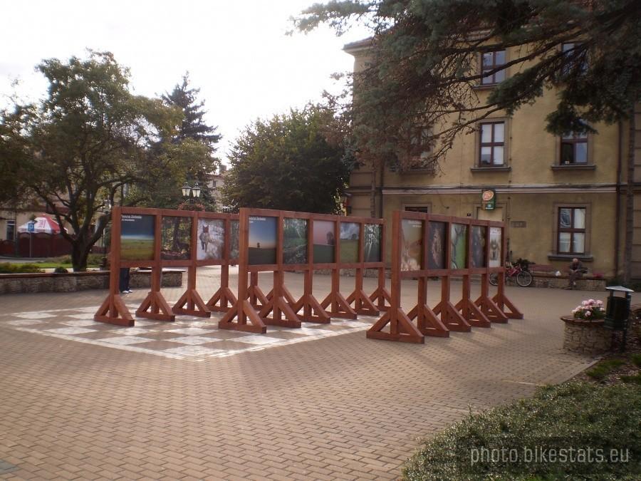 Wystawa o Puszczy Zielonka na Rynku w Swarzędzu