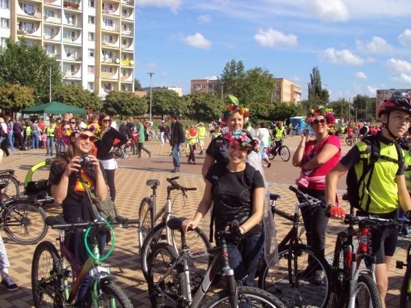 Elbląski Alleycat