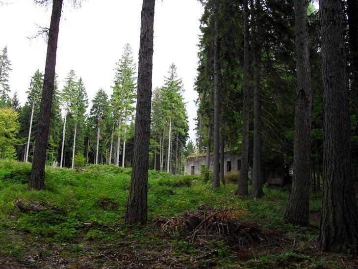 Bunkier powyżej kompleksu Osówka