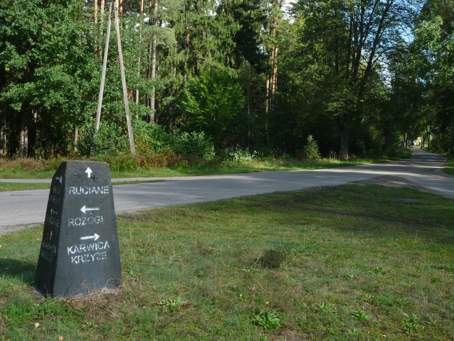Na rozstaju dróg. Ja oczywiście wybieram Karwicę