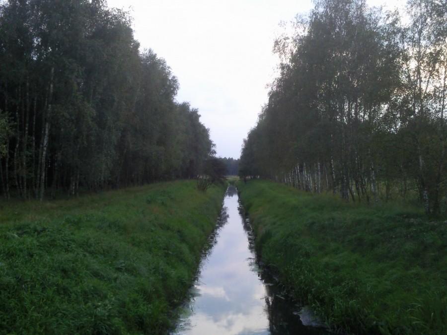 Kanał nad Jeziorem Świdwie