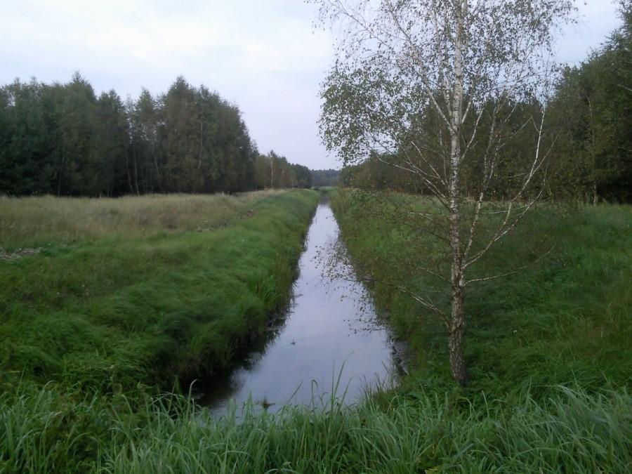 Kanał nad Jeziorem Świdwie