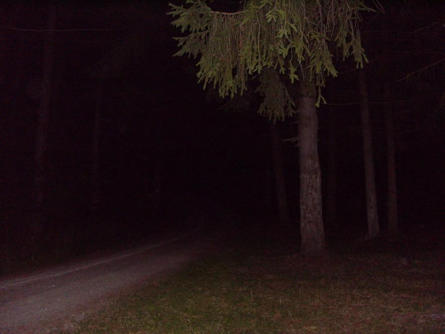 I nocny powrót do domciu.