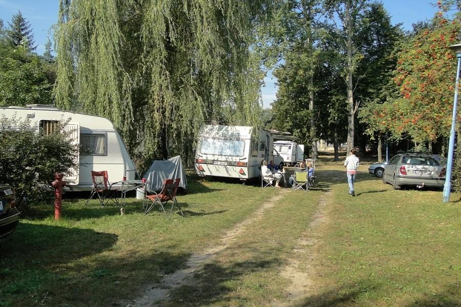 Stanęliśmy pod wierzbą