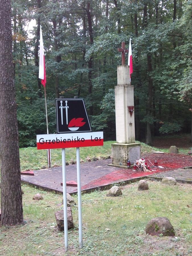 Mogiła pomordowanych ...