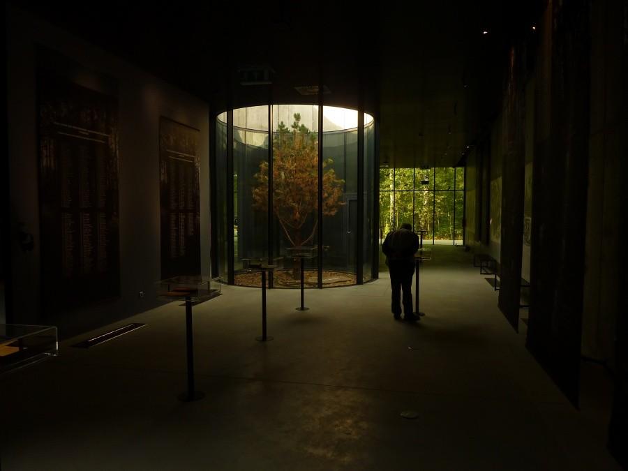 Muzeum w Palmirach