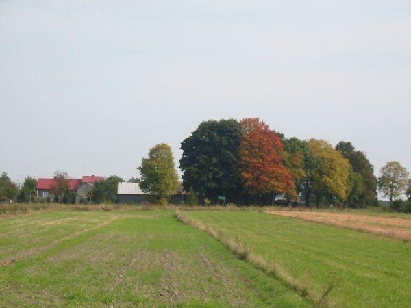 jesień się zaczyna