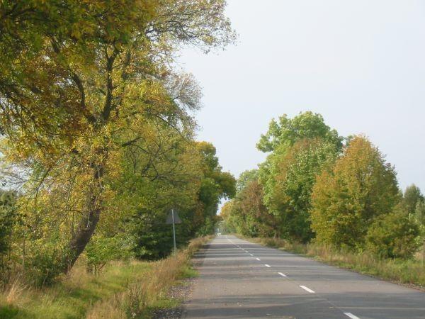 zostawiłam jesień z tyłu